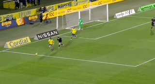 1740265505716022967.gif Feb-23-2025 07-04-09.gif